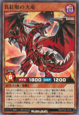 RD/KP26-JP034 ���ȴ�β�ε�ڥ����ѡ��쥢��