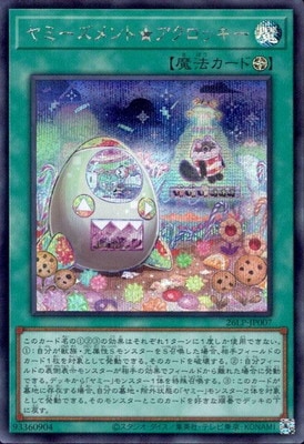 ��13��/26LP-JP007 ��ߡ������ȡ��������å����ڥ�������åȥ쥢��