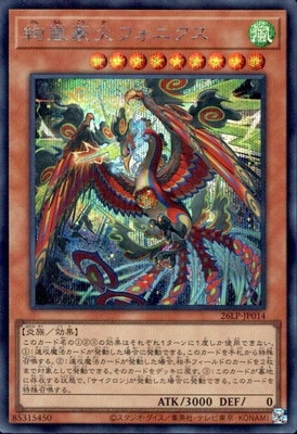 ��13��/26LP-JP014 �����Хե��˥����ڥ�������åȥ쥢��