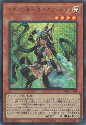 ��13��/DBGV-JP001 ���ͥȤη����ԡݥͥե��륿��ڥ���ȥ�쥢��