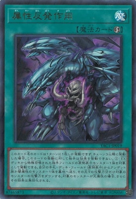 ��13��/YAC1-JP019 °��ȿȯ���ѡڥ���ȥ�쥢��