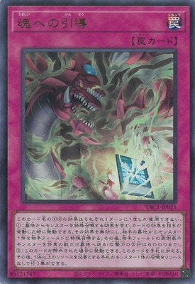 ��13��/YAC1-JP025 ���ؤΰ�Ƴ�ڥ���ȥ�쥢��