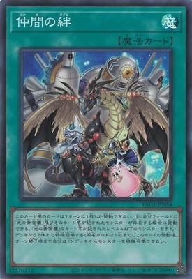 ��13��/YAC1-JP054 ��֤�嫡ڥ����ѡ��쥢��