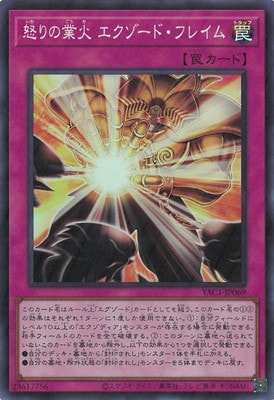 ��13��/YAC1-JP069 �ܤ�ζȲ� ���������ɡ��ե쥤��ڥ����ѡ��쥢��