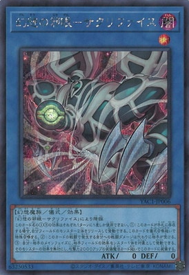 ��13��/YAC1-JP006 ���ۤμٴ�ݥ�����ե������ڥ�������åȥ쥢��