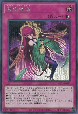 ��13��/YAC1-JP017 �����ѡڥ�������åȥ쥢��