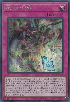 ��13��/YAC1-JP025 ���ؤΰ�Ƴ�ڥ�������åȥ쥢��