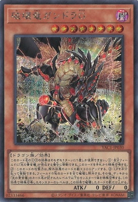 ��13��/YAC1-JP030 �˲�ε����ɥ�ǡڥ�������åȥ쥢��