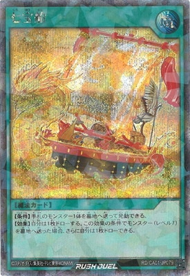 RD/CA01-JP079 �������ڥ�������åȥ쥢�ѥ����