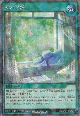 RD/CA01-JP042 ����­�סڥ�������åȥ쥢�ѥ����