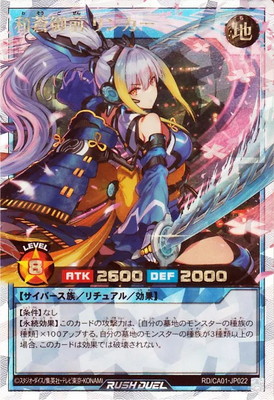 RD/CA01-JP022 ������� ��󥫡��ڥ����С���å���쥢��