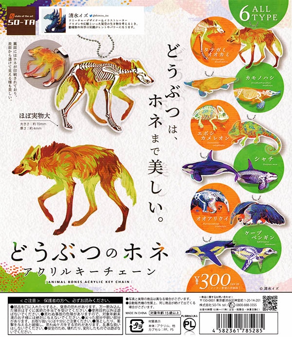 どうぶつのホネ アクリルキーチェーン 全6種セット (カプセル)【入荷済み】