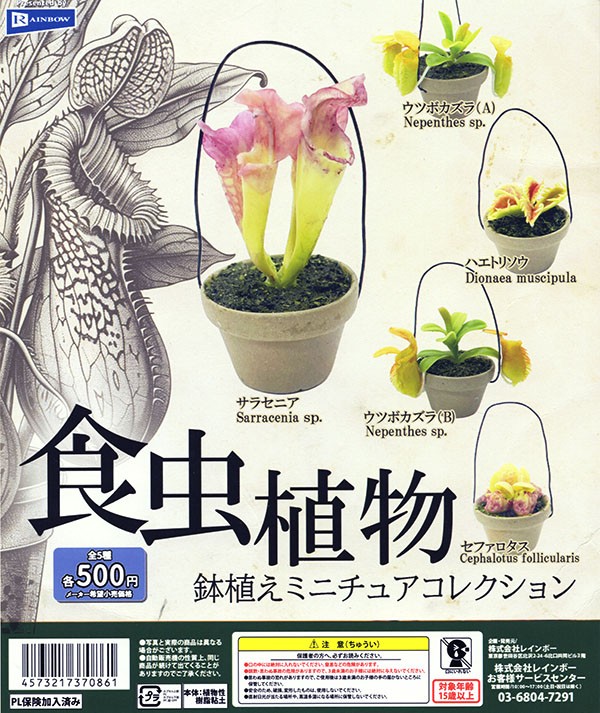 食虫植物 鉢植えミニチュアコレクション 全5種セット（カプセル