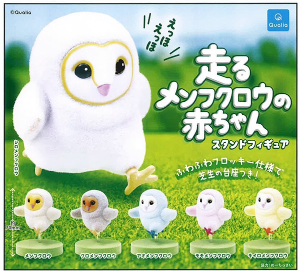 ＊恭ちゃんフクロウ君＊【メンフクロウ】＊レア 恭ちゃんフクロウ君＊【メンフクロウ】＊レア メンフクロウ