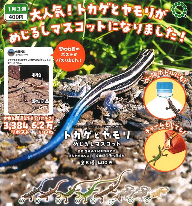 時々トカゲ 513NrGRnSuL._UF350,350_QL50_.jpg