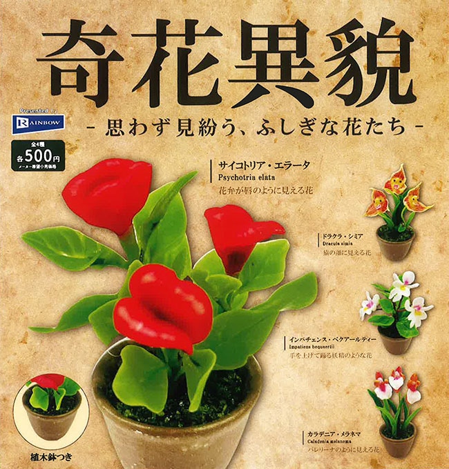 奇花異貌 思わず見紛う、ふしぎな花たち 全4種セット（カプセル）【1月予約】