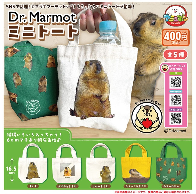 Dr.マーモット ミニトート 全５種セット（カプセル）【２月予約】