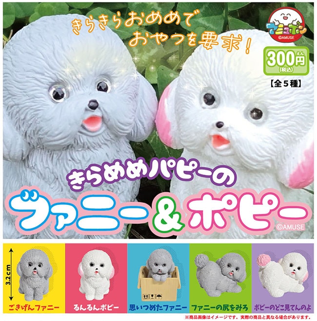 きらめめパピーのファニー＆ポピー 全５種セット（カプセル）【２月予約】