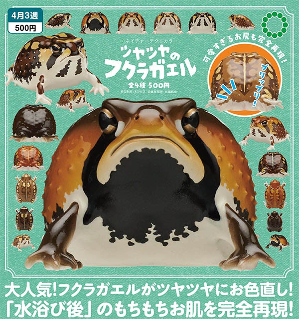ネイチャーテクニカラー ツヤツヤのフクラガエル 全4種セット