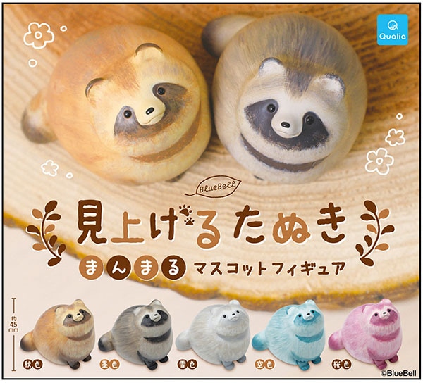 見上げるたぬき まんまるますこっとフィギュア 全5種セット（カプセル）【4月予約】