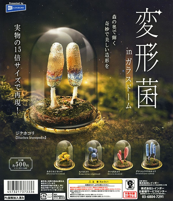 変形菌 in ガラスドーム 全5種セット（カプセル）【入荷済み】