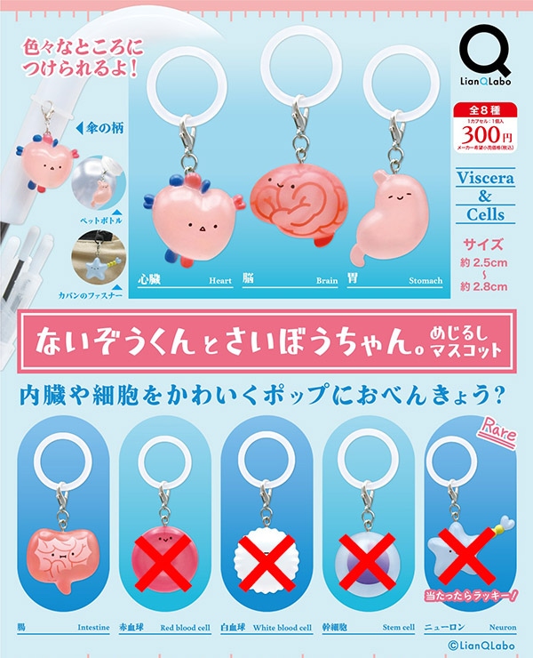 ないぞうくんとさいぼうちゃん。 めじるしマスコット 4種セット（カプセル）【10月予約】