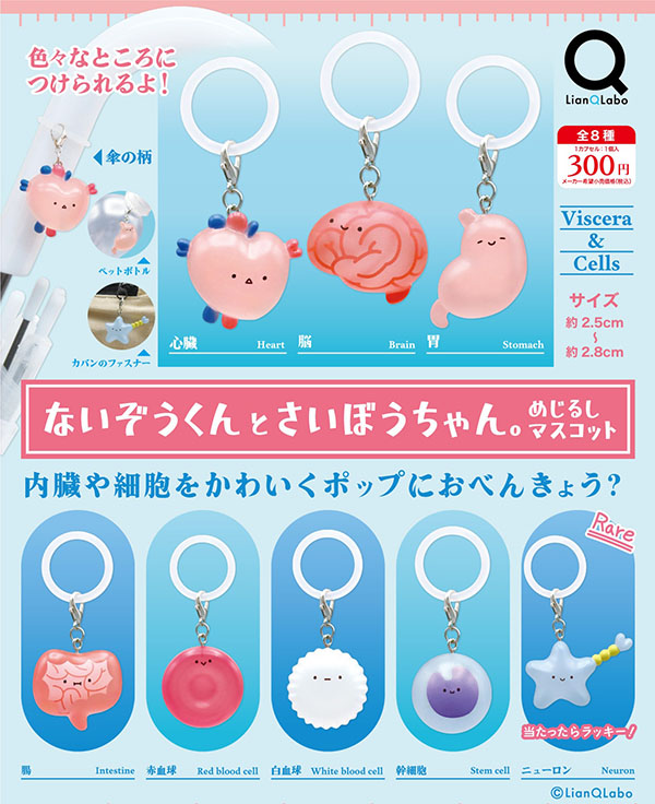 ガチャガチャ/カプセルトイ | ふむおでポン｜フィギュア・ガチャガチャ