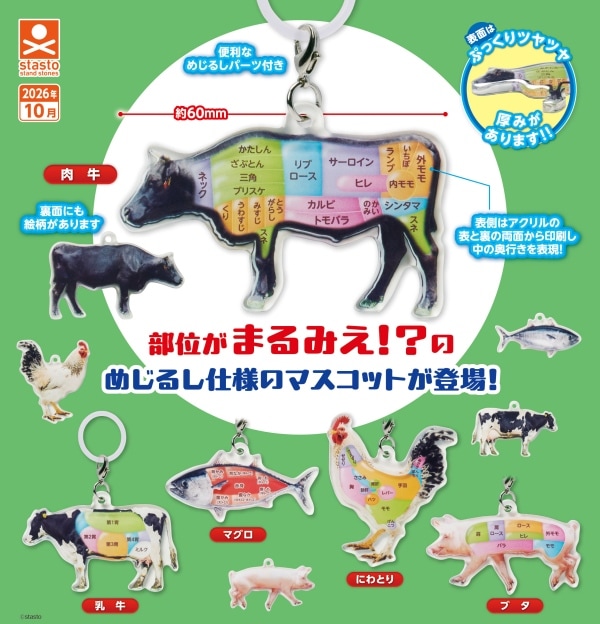 まるみえアクリルめじるしマスコット 全5種セット（カプセル）【10月予約】