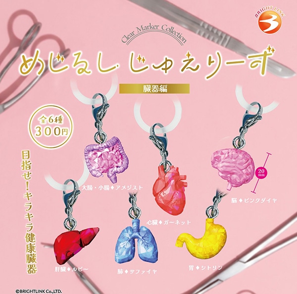 めじるしじゅえりーず 臓器編 全6種セット（カプセル）【1月予約】