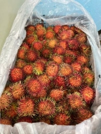 グアテマラ産ランブータン　6kg
