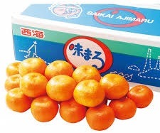 Ĺ�긩���ߤ��� ��̣�ޤ��S��M��5��