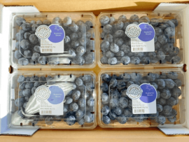 �ᥭ�������֥롼�٥꡼312g4��