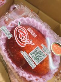 �ܺ긩�����ϥޥ󥴡� ���ʣ�������L