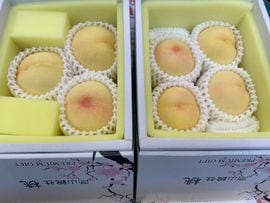 ������ ����1kg 3��5�� ����Ȣ��