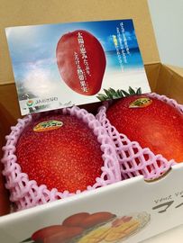 ���츩���ޥ󥴡� ͥ��2����3L