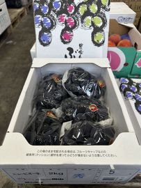 ���������ԥ����� 2�ԡ�4��5˼��