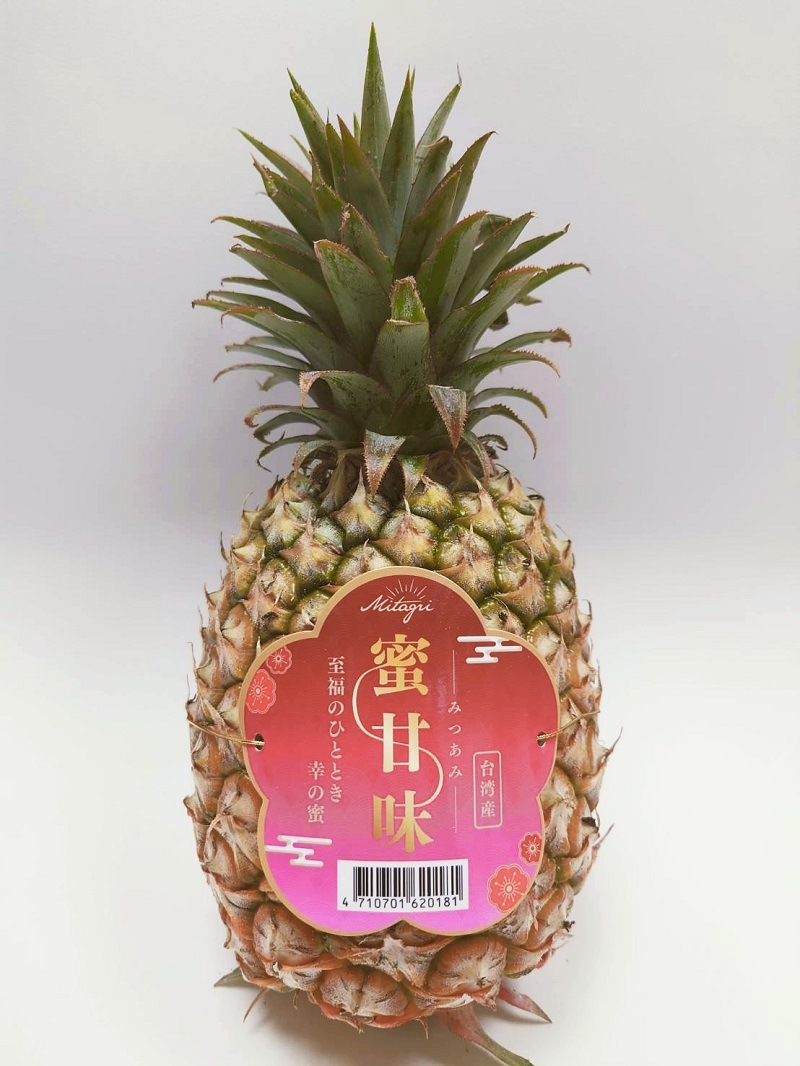 ���ѻ��ѥ��ʥåץ롡��̪��̣�ס�6~8��