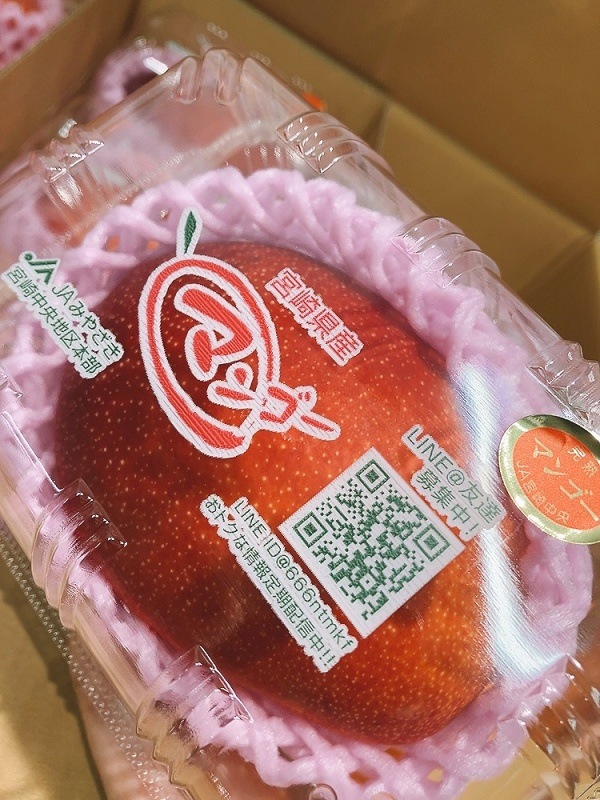 �ܺ긩�����ϥޥ󥴡� ���ʣ�������L