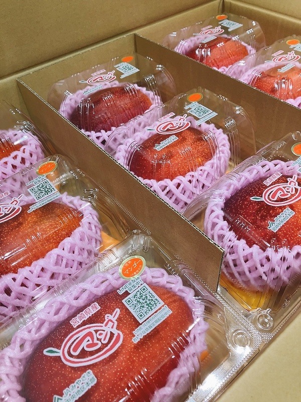 �ܺ긩�����ϥޥ󥴡� ���ʣ�������L