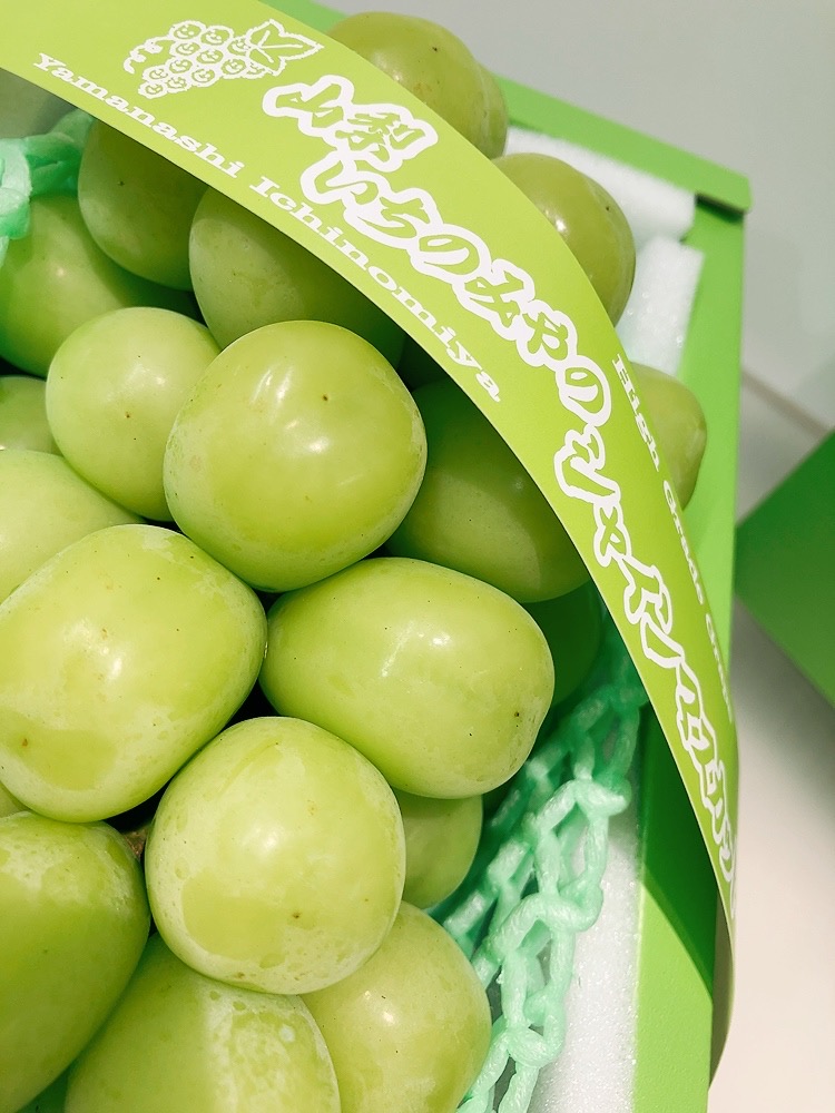 ������ ���㥤��ޥ����å� 700g 1˼ ����Ȣ���꽨��