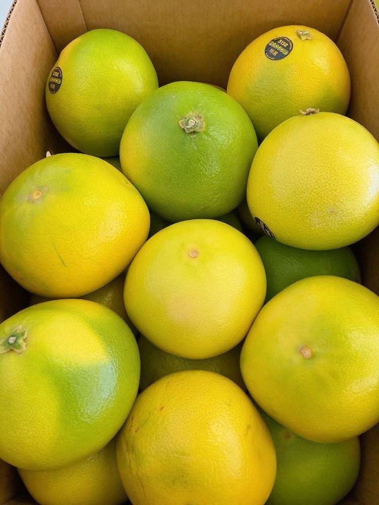 �������������23~32��������16���ˡ�