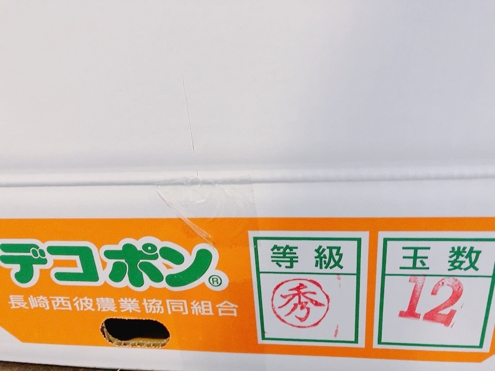 Ĺ�껺�����ϥǥ��ݥ󡡽��� 15��18���� ��5���