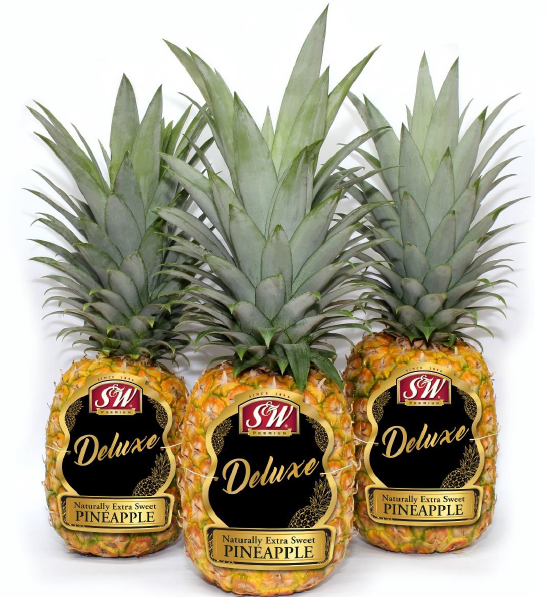 �ǥ�å����ץ�ߥ���ѥ���5��7��