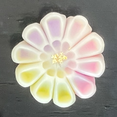 ֲ