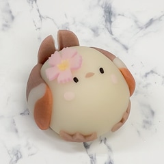 ���ޥ��ʥ����ʤǤ���