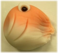 �����Τܤ�