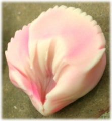 �����͡������