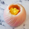 寒牡丹