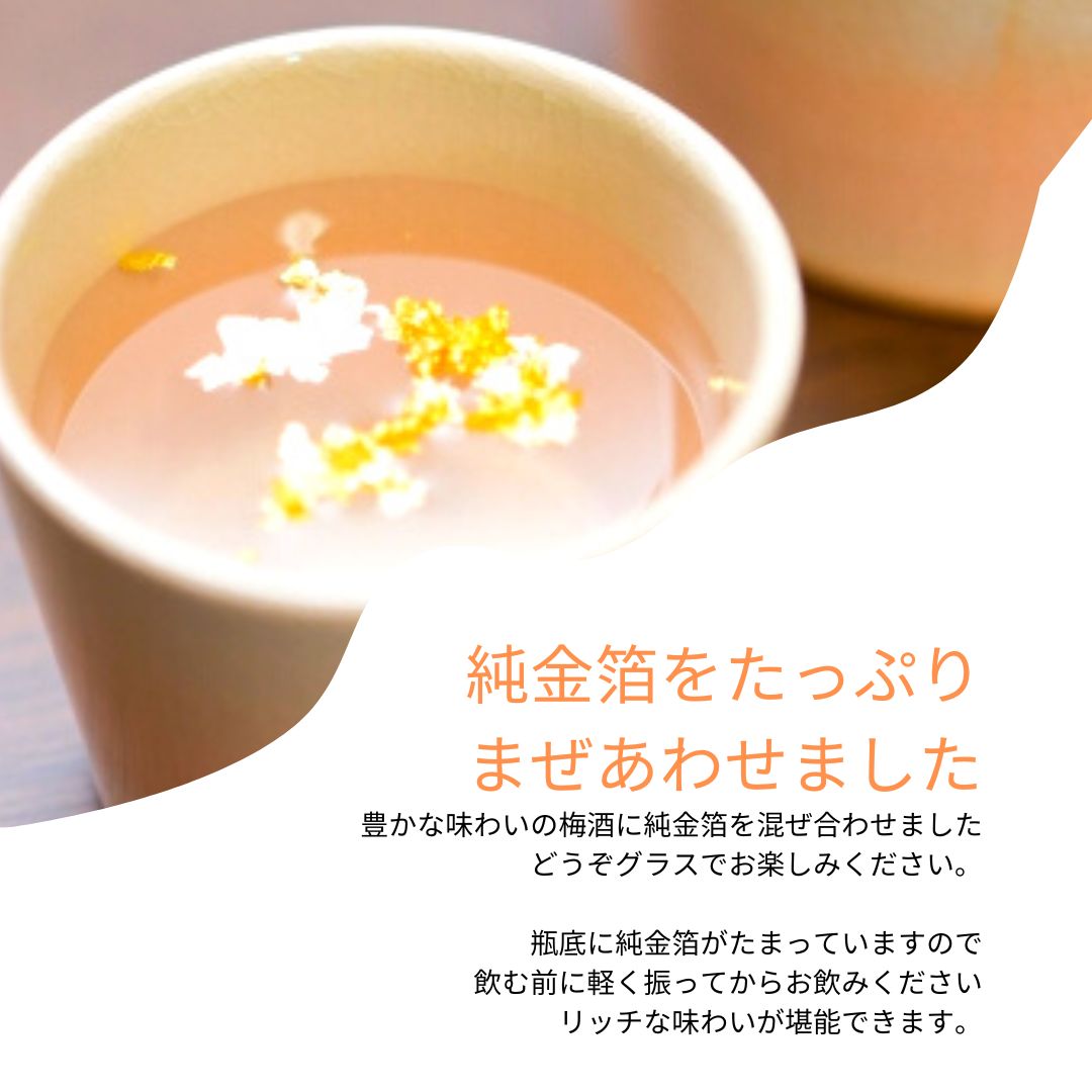 梅酒 純金箔入り梅子720ml_飛騨の地酒通販_舩坂酒造店