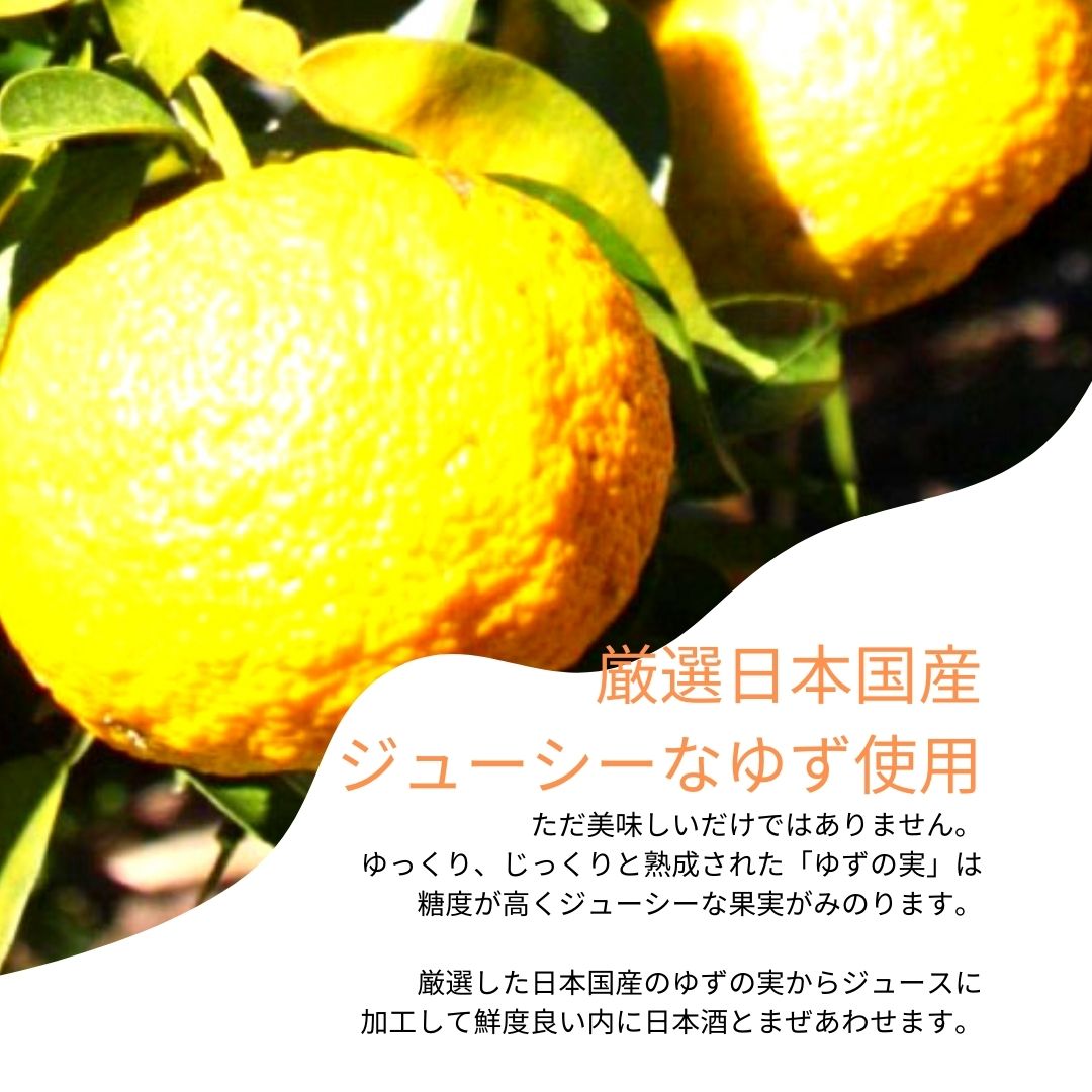 2ܥåȡۥꥭ塼륻å(äѤˤ߻ҡ椺ʼ)67